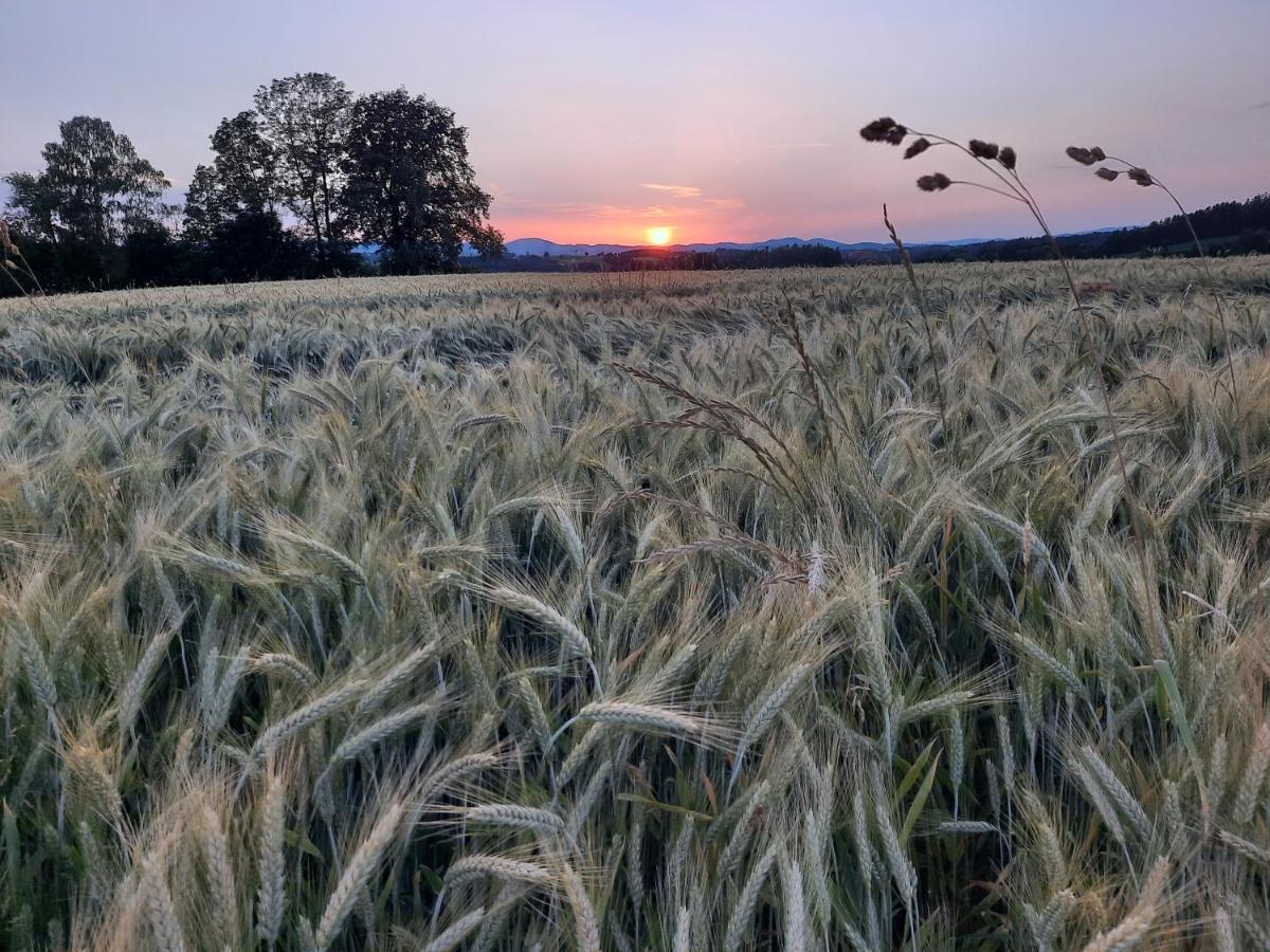 Grainmeisterhof Niederwaldkirchen Екстериор снимка