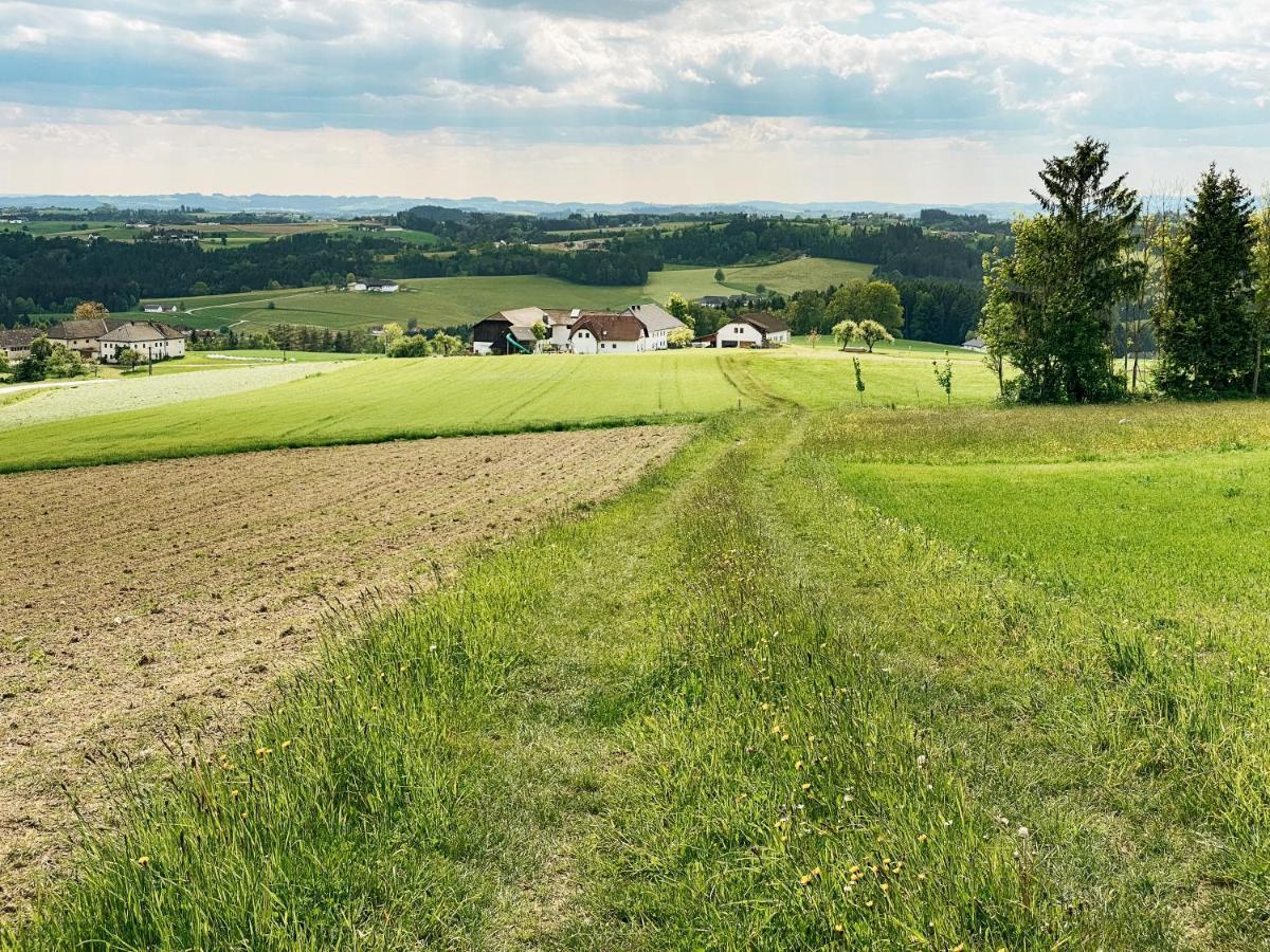 Grainmeisterhof Niederwaldkirchen Екстериор снимка