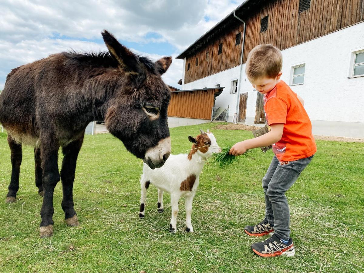 Grainmeisterhof Niederwaldkirchen Екстериор снимка